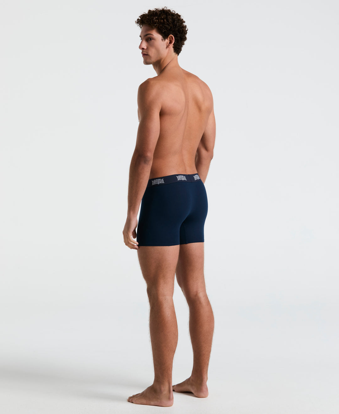 4 Pack Boxer Brief Box (Asst/Fash) 