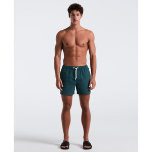 5" Solid Swim Trunks (June Bug) 