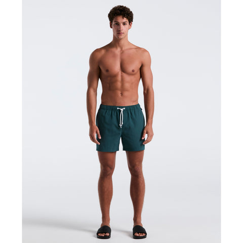 5" Solid Swim Trunks (June Bug) 