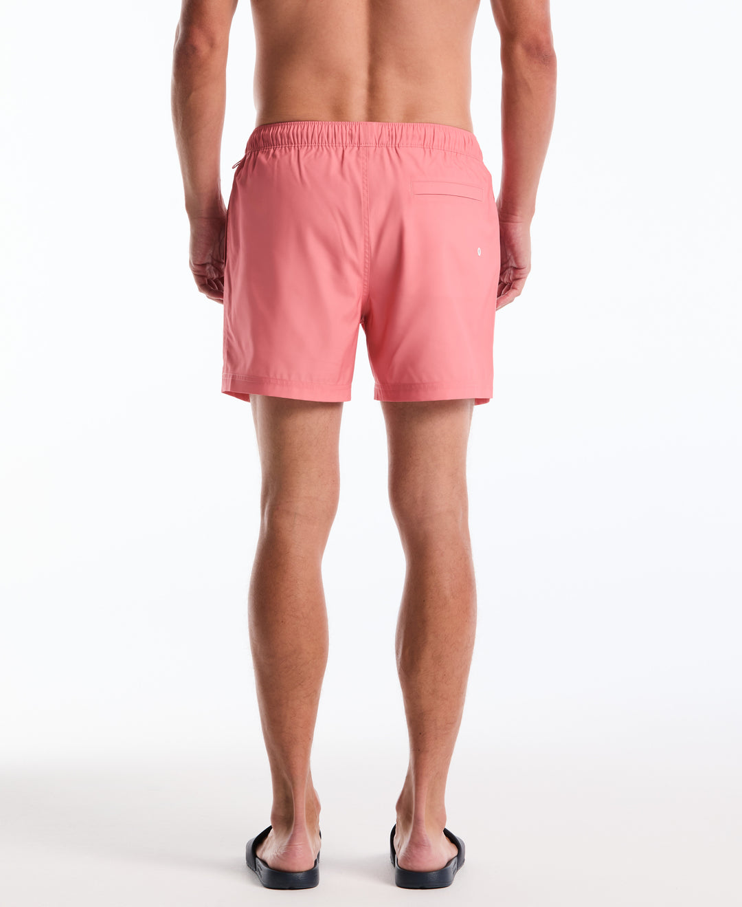 5" Solid Swim Trunks (Lantana) 