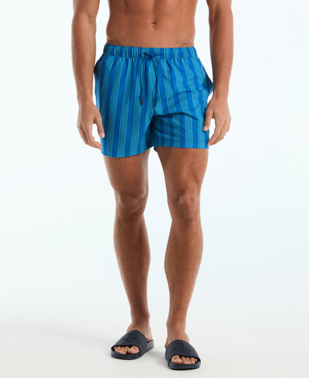 5" Vert Stripes Box Swim Short (Daphne) 