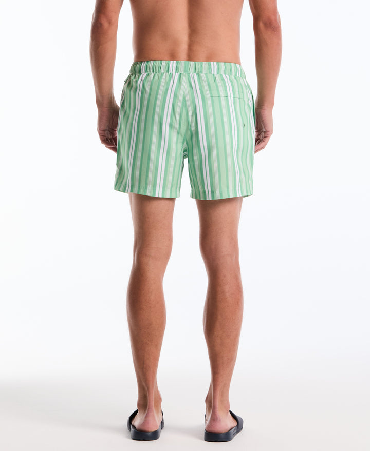 5" Vert Stripes Swim Short (Hemlock) 