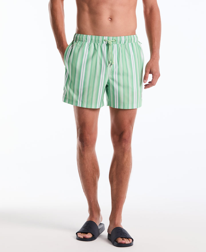 5" Vert Stripes Swim Short (Hemlock) 