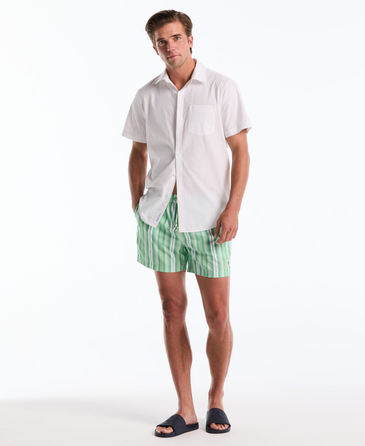 5" Vert Stripes Swim Short (Hemlock) 