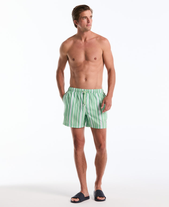 5" Vert Stripes Swim Short (Hemlock) 