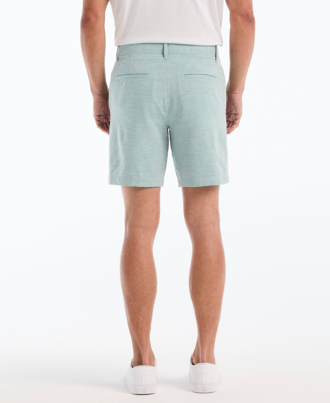 Heather Stripe Chino Short (Deep Lake) 
