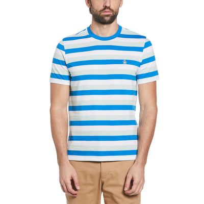 Allover Stripe Short Sleeve Tee-Shirt (Imperial Blue) 