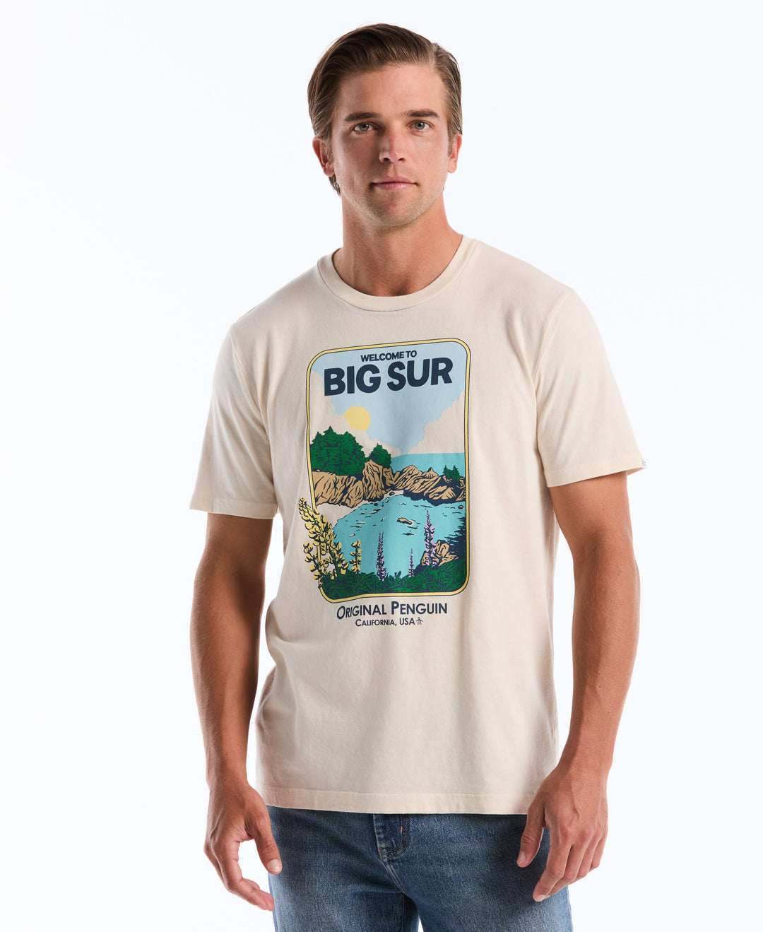 Big Sur Graphic Cotton Tee (Birch) 