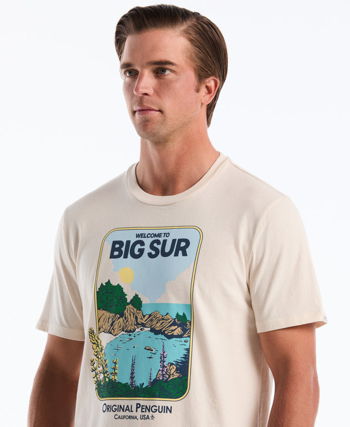 Big Sur Graphic Cotton Tee (Birch) 