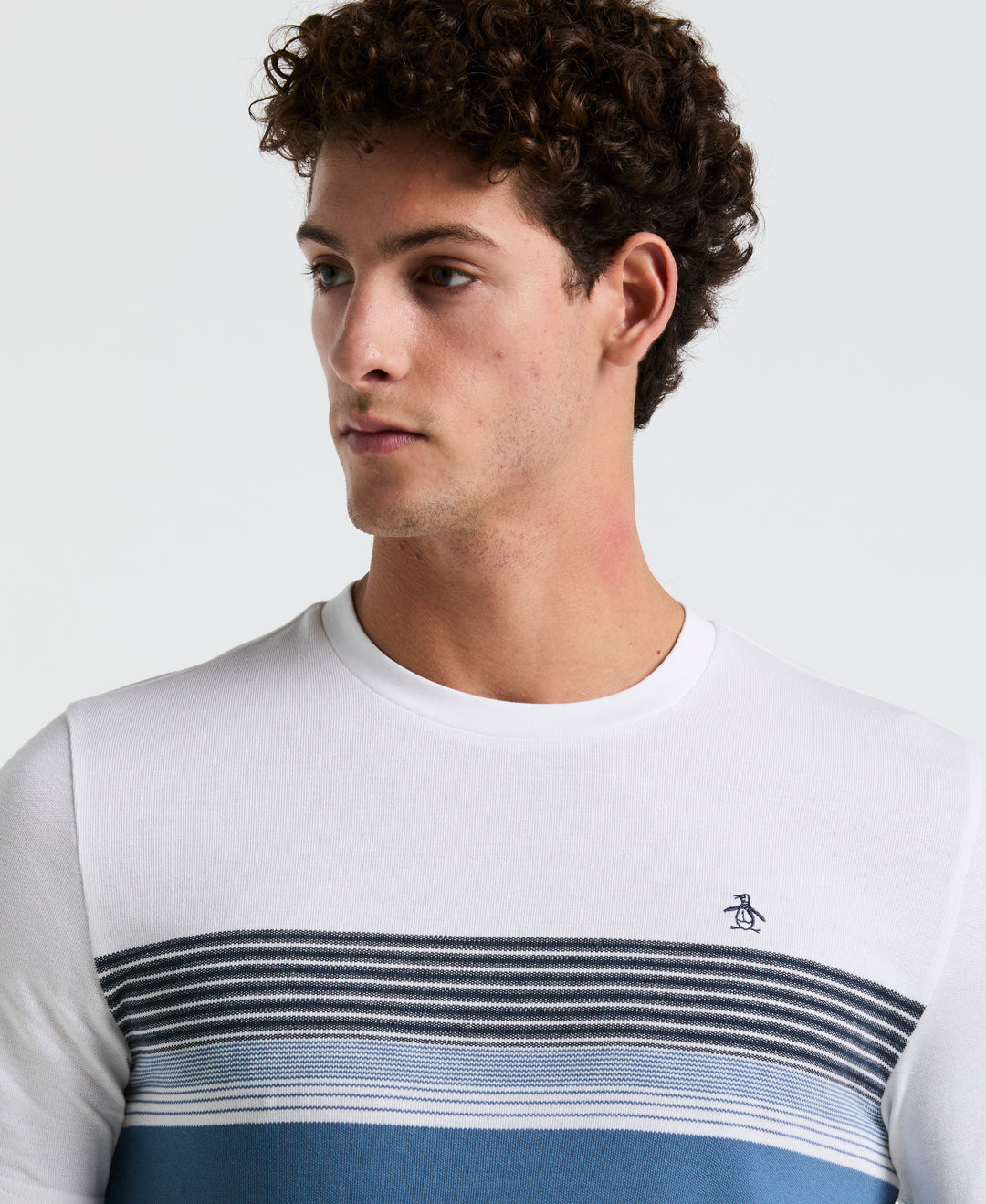 Birdseye Pique Chest Striped Tee (Sargasso Sea) 