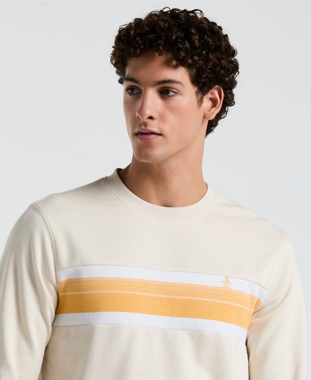 Fleece Chest Stripe Crew Neck Sweater (Birch) 