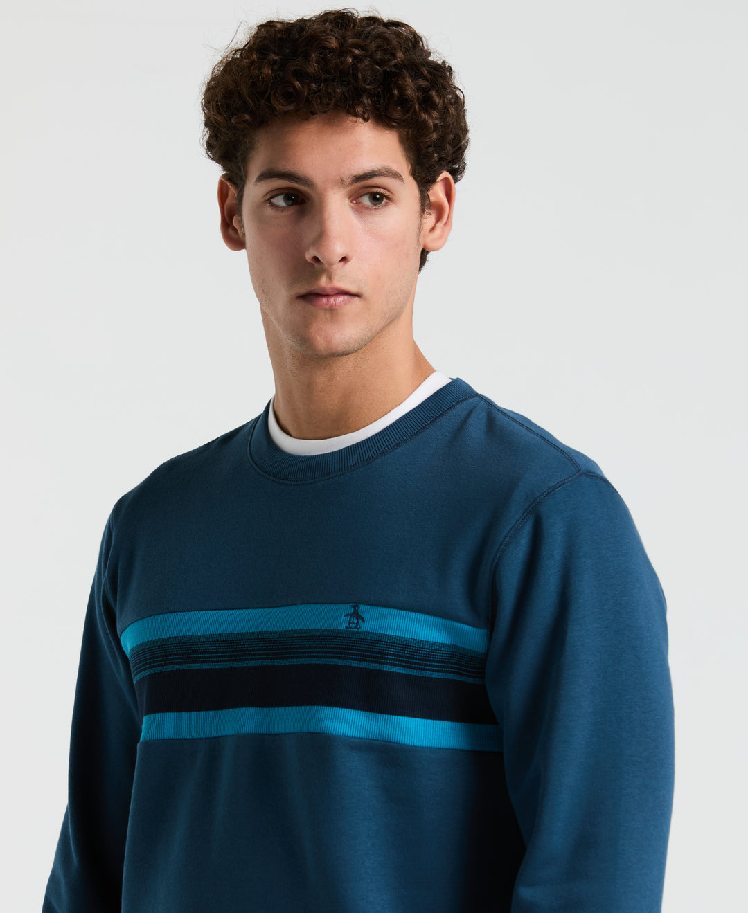 Fleece Chest Stripe Crew Neck Sweater (Blue Wing Teal) 