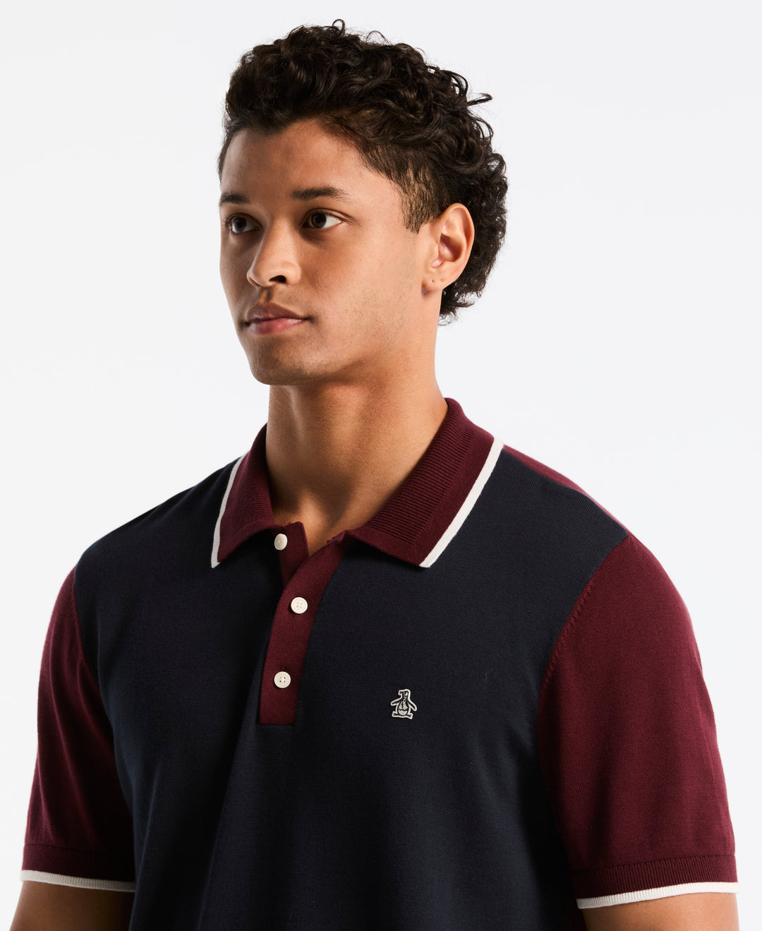 Cotton Colorblock Sweater Polo (Dark Sapphire) 
