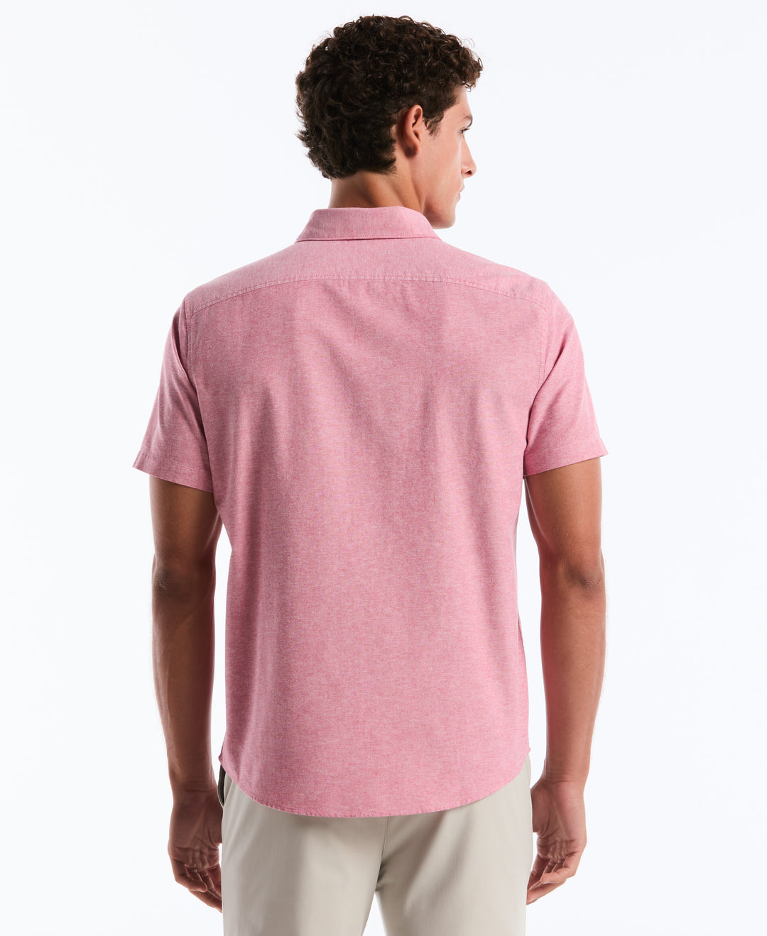 Short Sleeve Oxford Shirt (Raspberry Wine) 