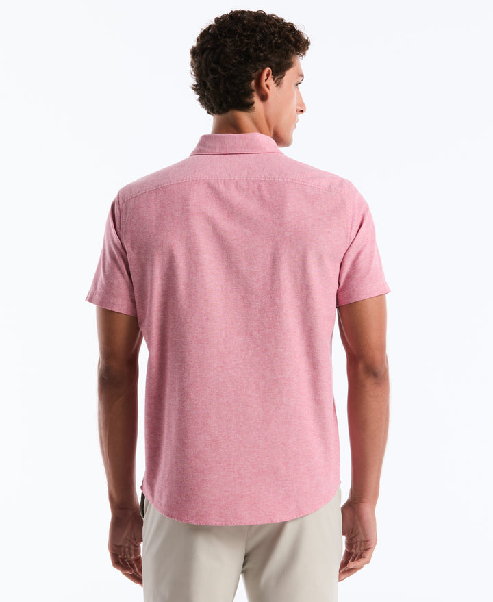 Short Sleeve Oxford Shirt (Raspberry Wine) 