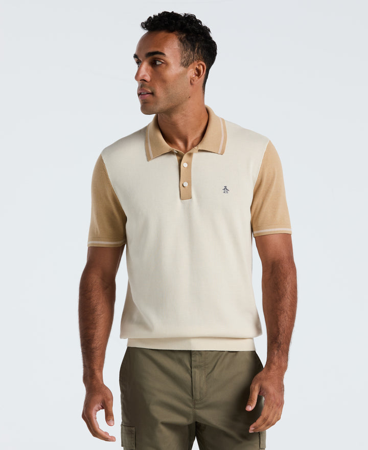 Cotton Colorblock Sweater Polo (Birch) 