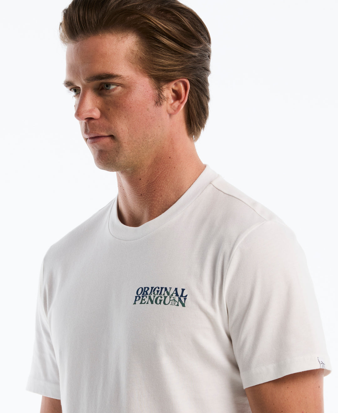 Cotton Mountain Scene Graphic Tee (Bright White) 