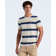 Cotton Pique Engineered Stripe Tee (Birch) 