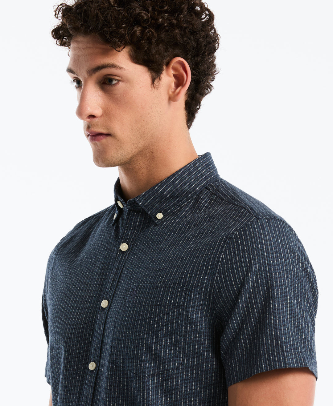 Dobby Button Down Striped Shirt (Dark Sapphire) 