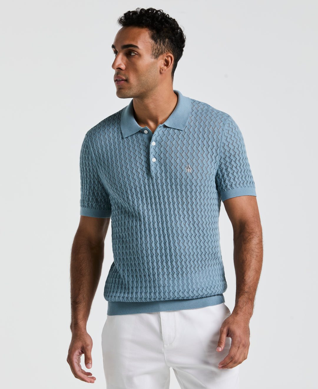 Drop Needle Textured Sweater Polo (Citadel) 