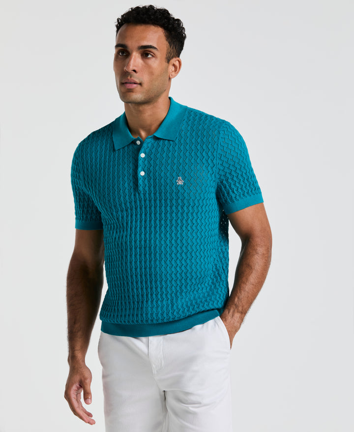 Drop Needle Textured Sweater Polo (Exotic Plume) 