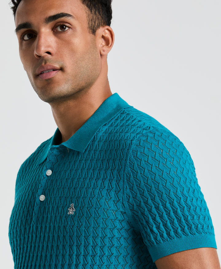 Drop Needle Textured Sweater Polo (Exotic Plume) 