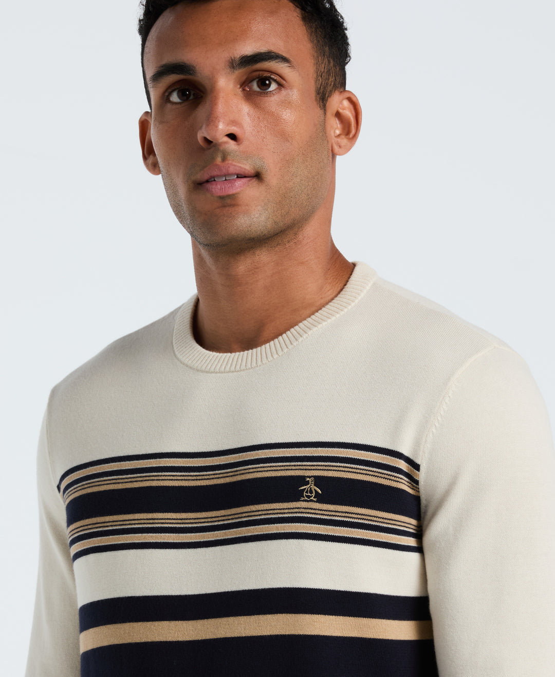 Cotton Engineered Stripe Crewneck Sweater (Dark Sapphire) 