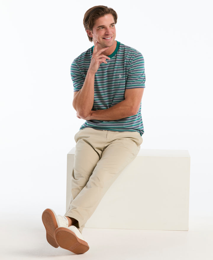Cotton Jersey Feeder Stripe Tee (Storm) 