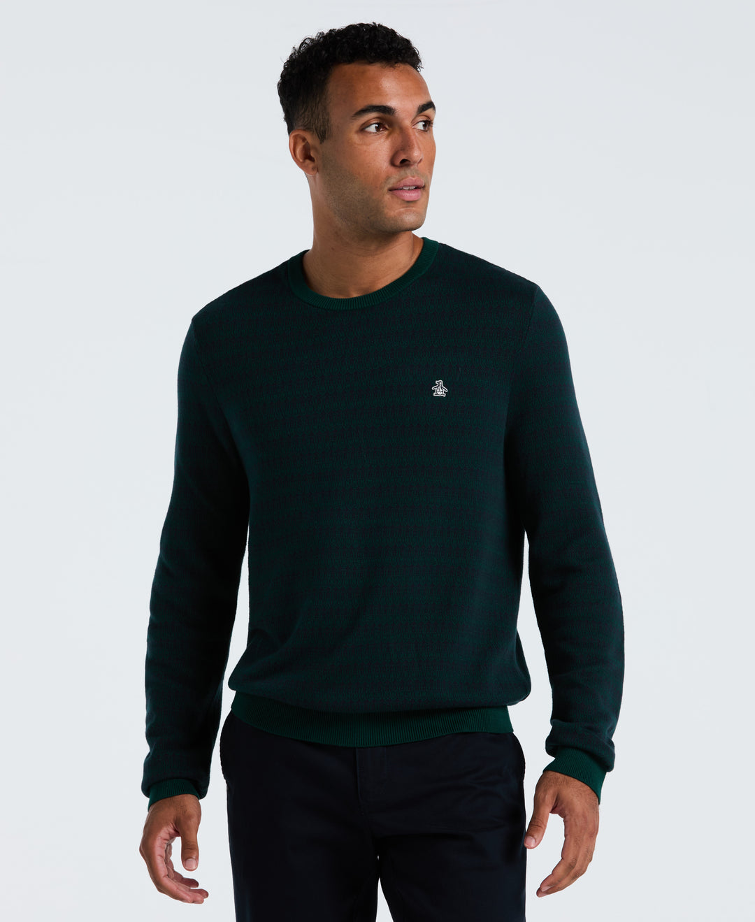 Jacquard Geo Crewneck Sweater (Botanical Garden) 