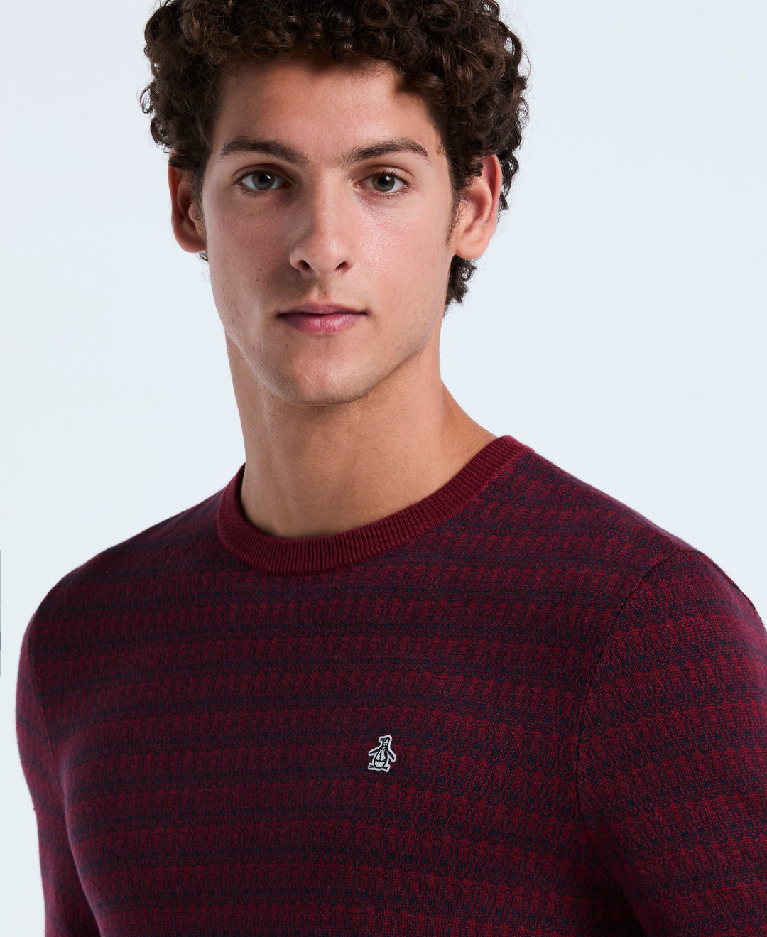 Jacquard Geo Crewneck Sweater (Cabernet) 
