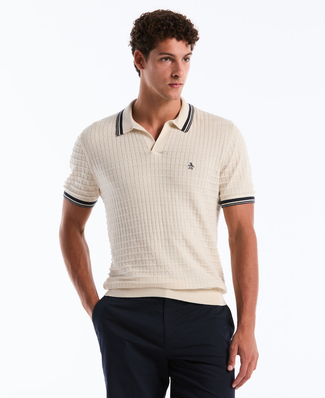 Grid Knit Johnny Collar Sweater Polo (Birch) 