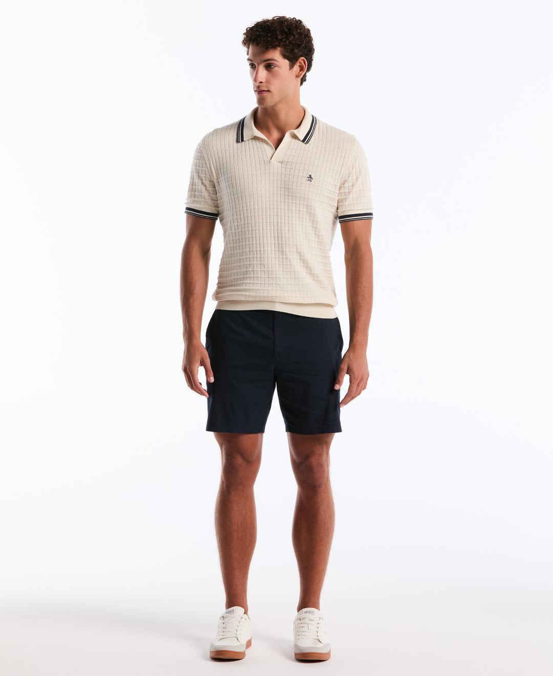 Grid Knit Johnny Collar Sweater Polo (Birch) 