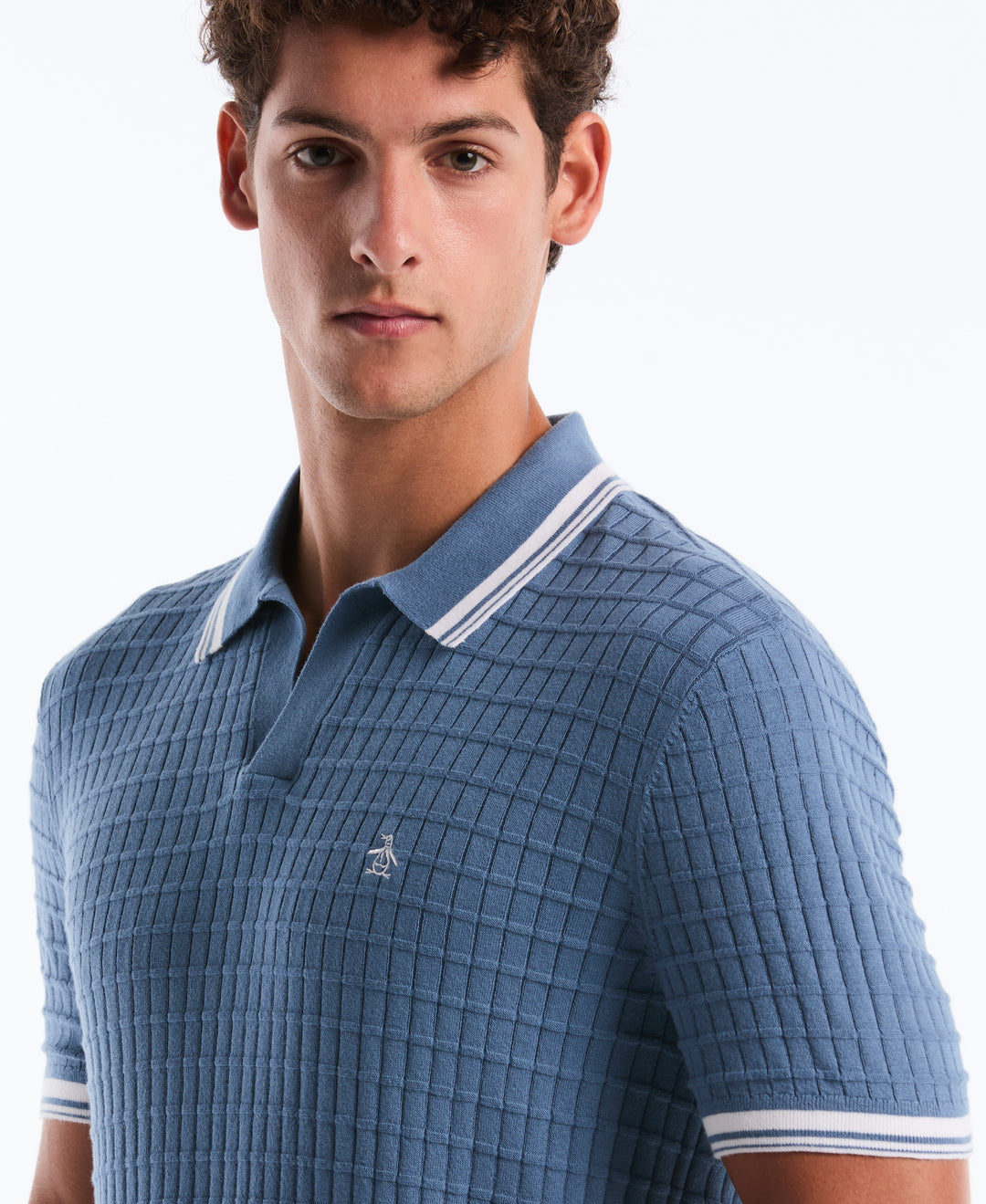 Grid Knit Johnny Collar Sweater Polo (Copen Blue) 