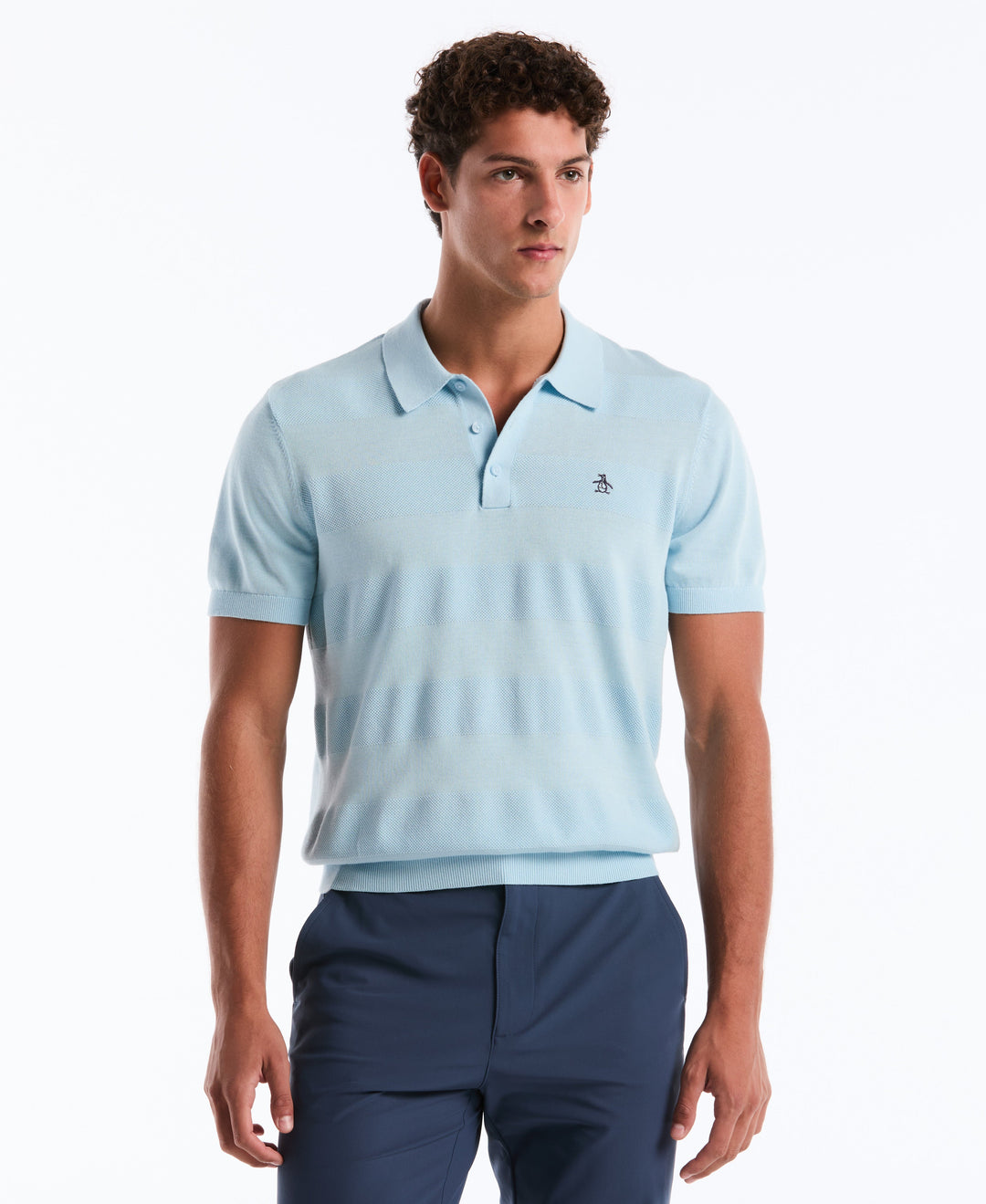 Cotton Honeycomb Stripe Stitch Sweater Polo (Cool Blue) 