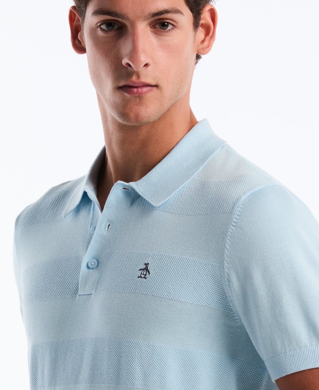 Cotton Honeycomb Stripe Stitch Sweater Polo (Cool Blue) 
