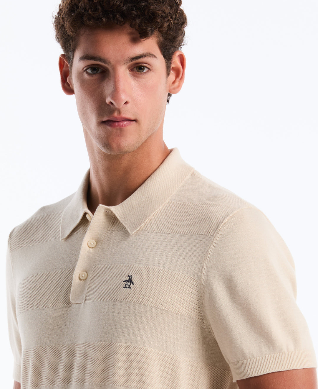 Cotton Honeycomb Stripe Stitch Sweater Polo (Birch) 