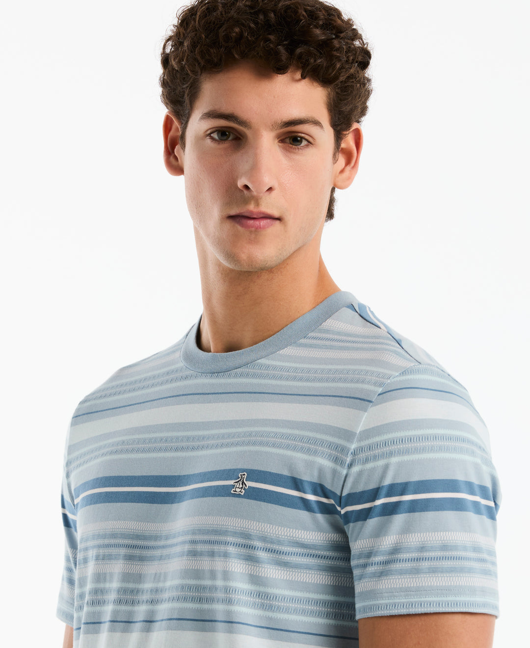 Cotton Jacquard Dashed Stripe Tee (Dusty Blue) 