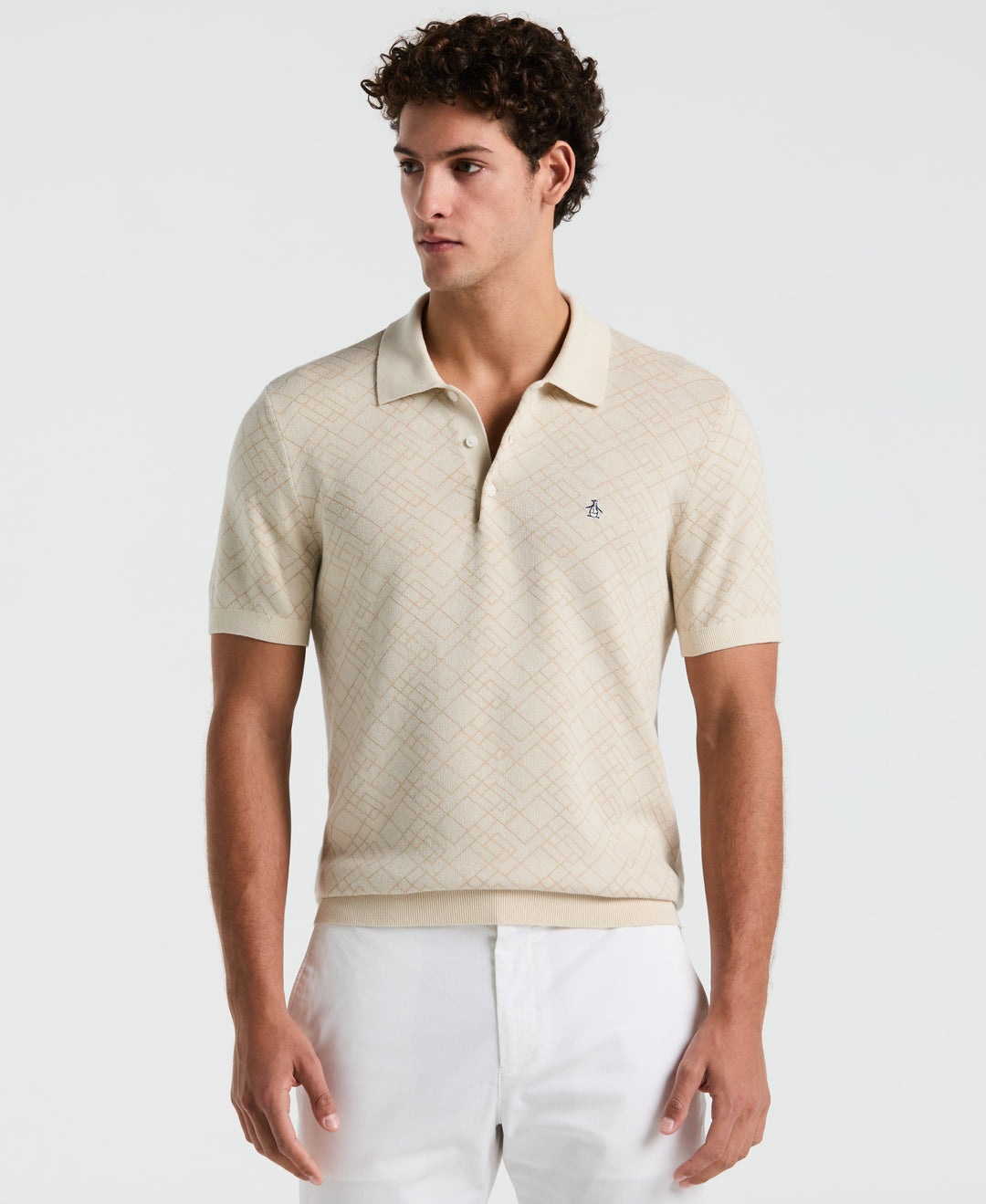 Jaquard Geometric Sweater Polo Shirt (Birch) 
