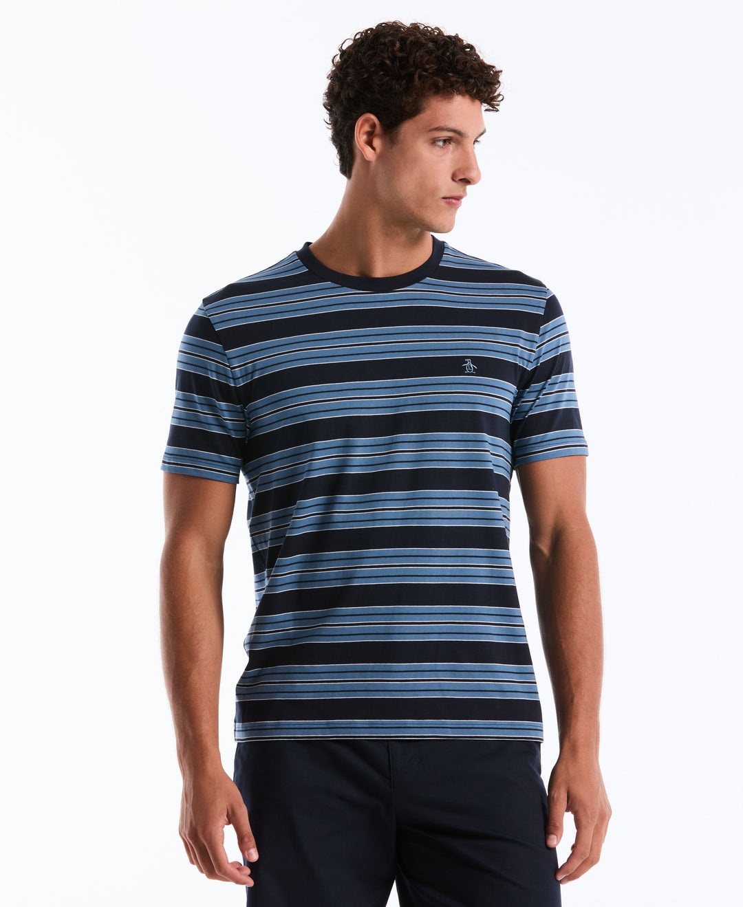 Jersey All-Over Stripe Tee (Dark Sapphire) 