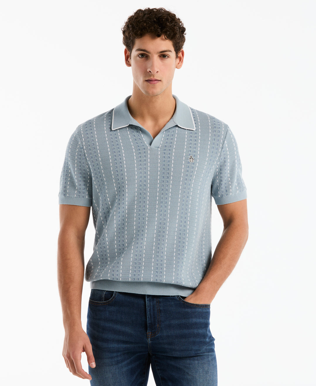 Cotton Jacquard Johnny Collar Sweater Polo (Dusty Blue) 