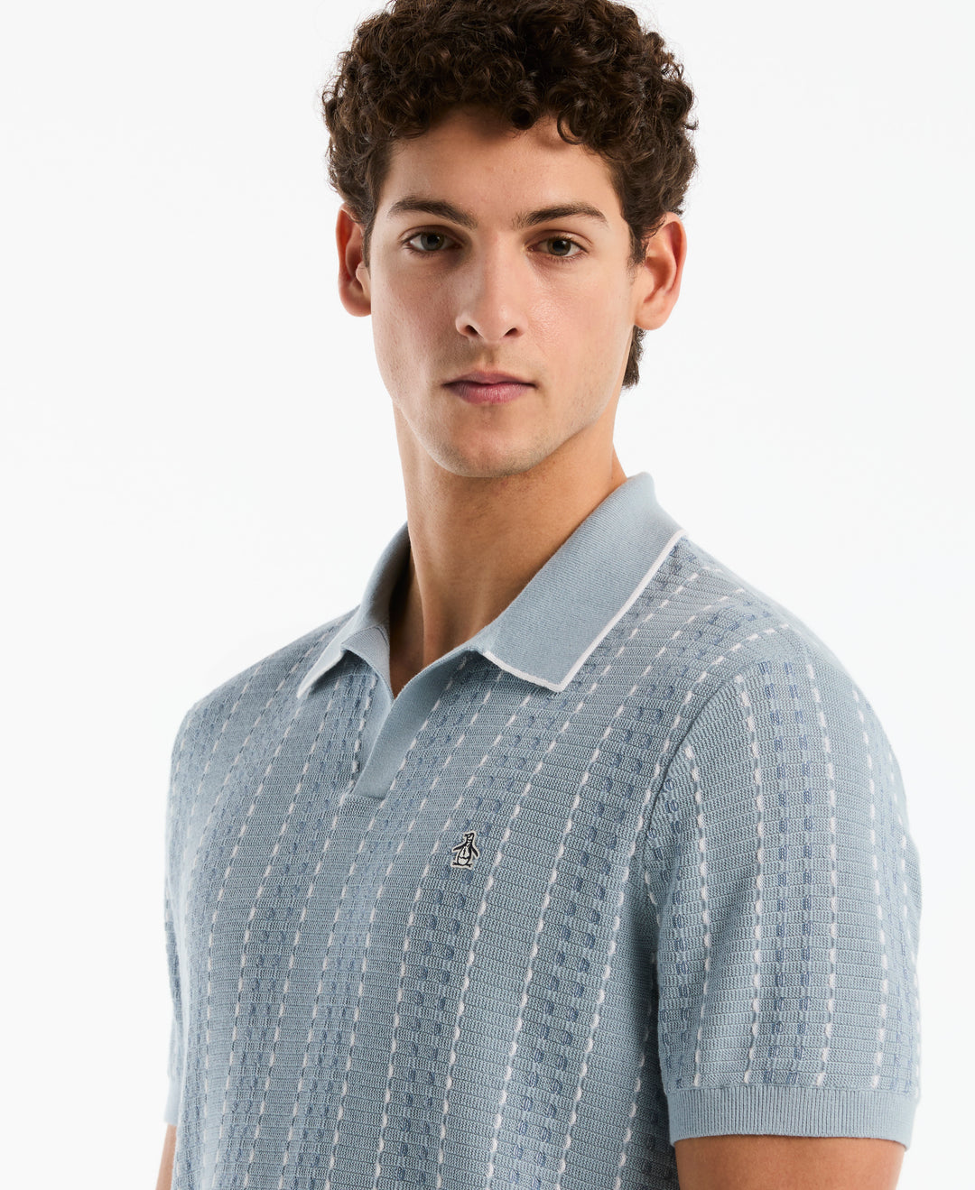 Cotton Jacquard Johnny Collar Sweater Polo (Dusty Blue) 