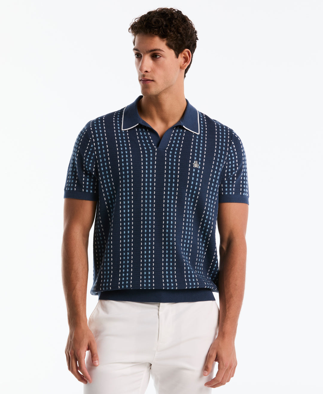 Cotton Jacquard Johnny Collar Sweater Polo (Sargasso Sea) 
