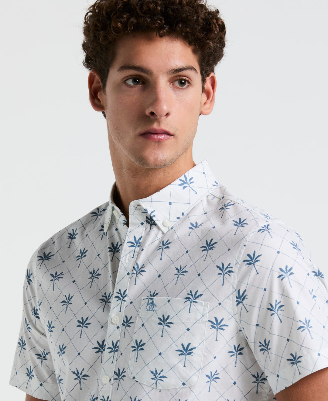Lawn Gradient Stripe Shirt (Bright White) 