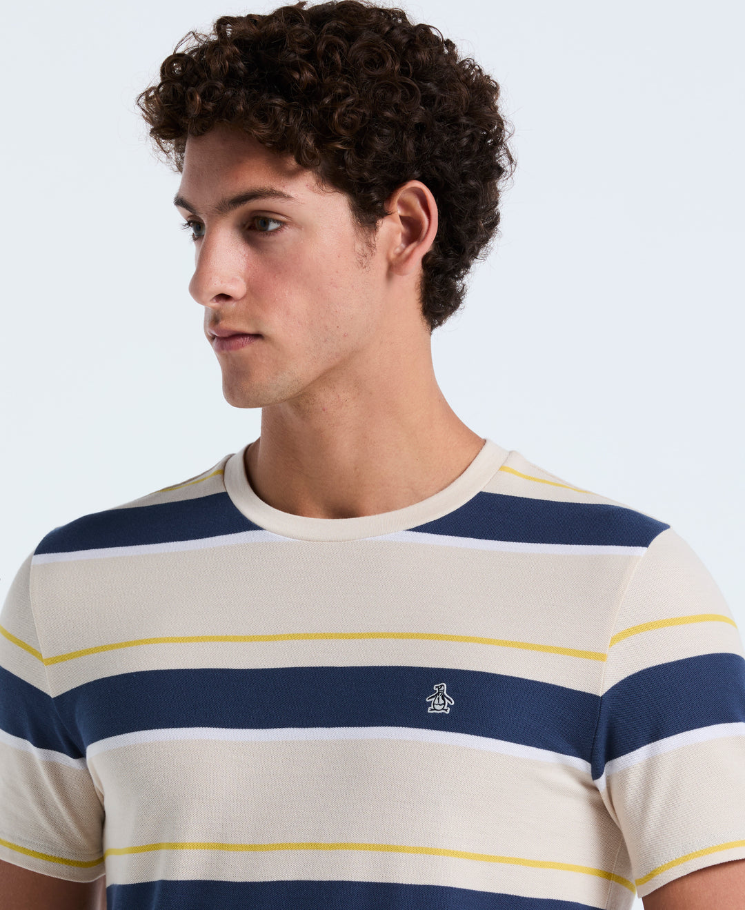 Cotton Pique Engineered Stripe Tee (Birch) 