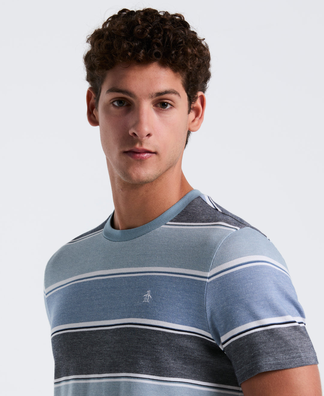 Pique Gradient Stripe Tee (Citadel) 