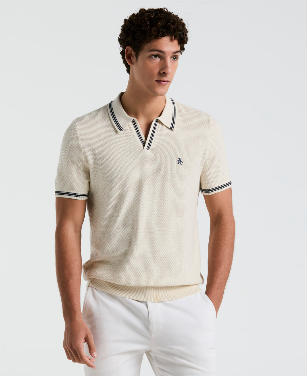 Textured Johnny Collar Sweater Polo (Birch) 