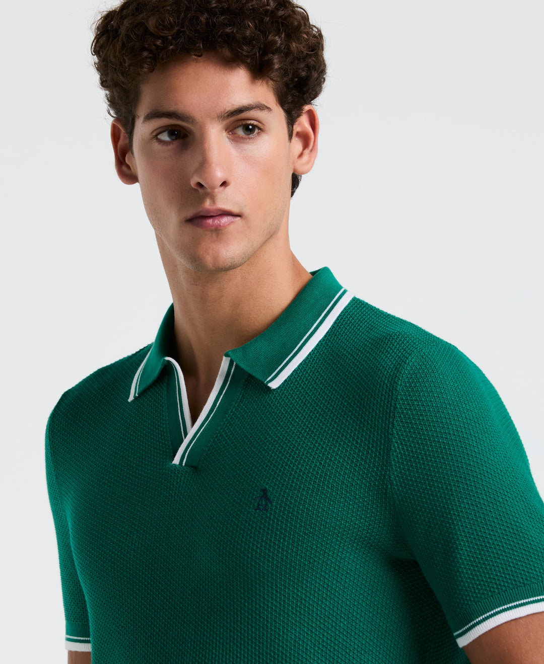Textured Johnny Collar Sweater Polo (Cadmium Green) 