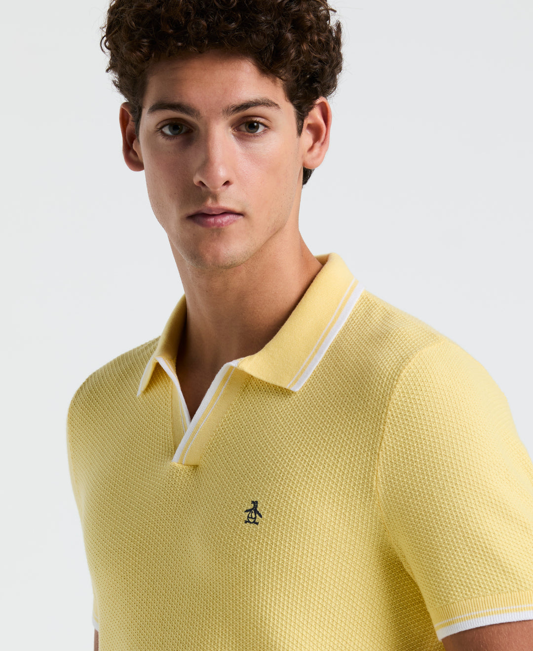 Textured Johnny Collar Sweater Polo (Popcorn) 