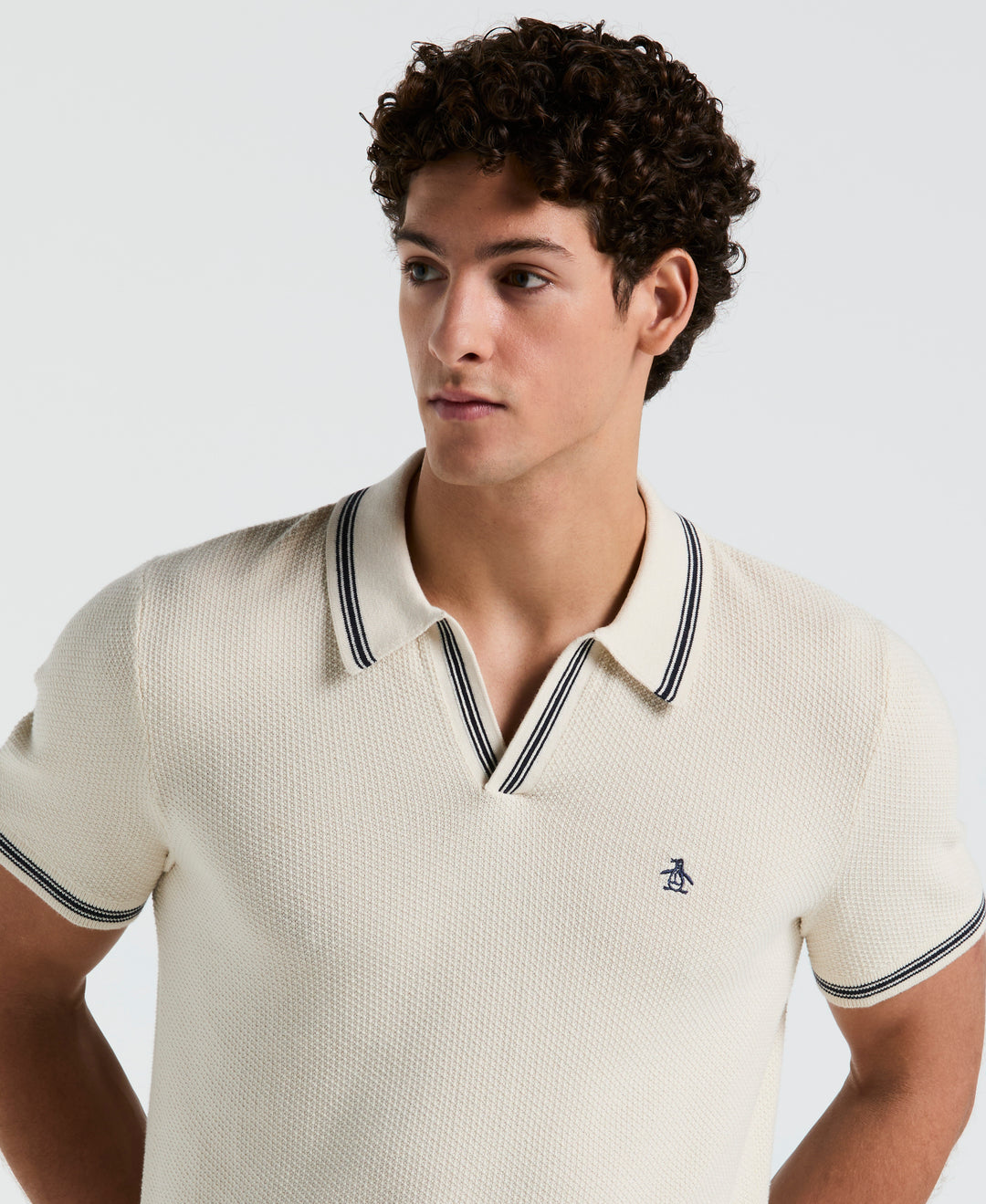 Textured Johnny Collar Sweater Polo (Birch) 