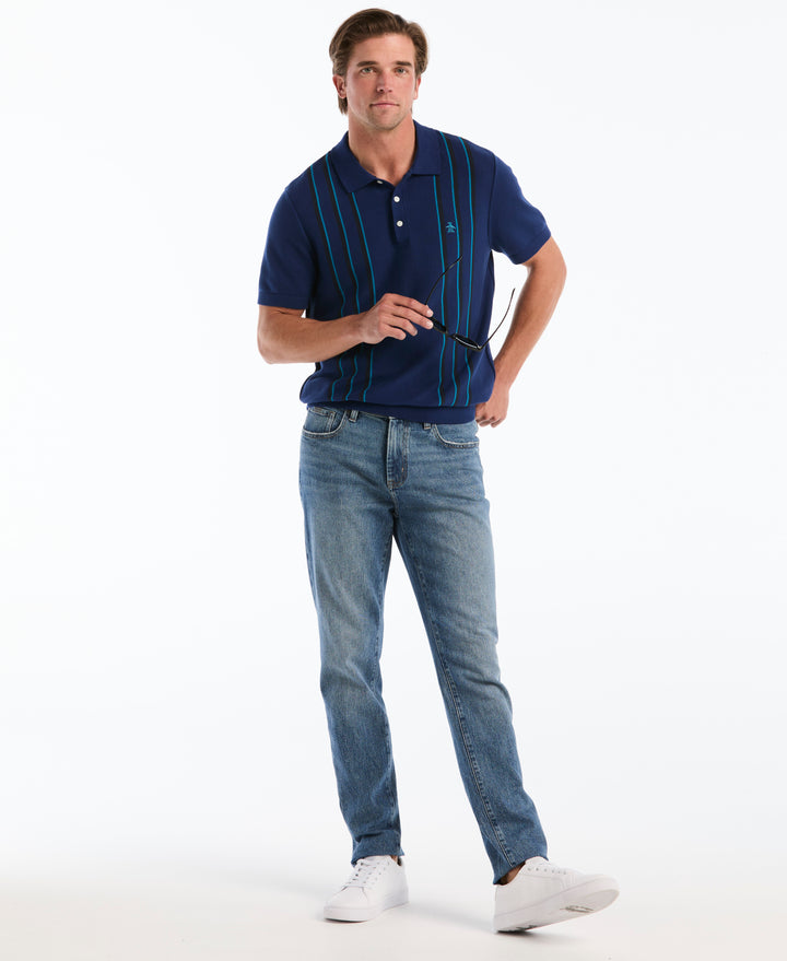 Cotton Vertical Stripe Sweater Polo (Blue Depths) 